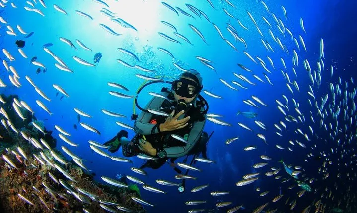 Scuba Diving from Hurghada