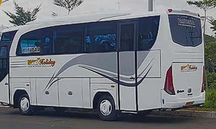 Private Car : Airport Transfer Jakarta Minibus 20 Pax