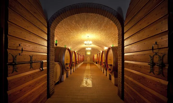 Amarone Wine Tasting from Verona