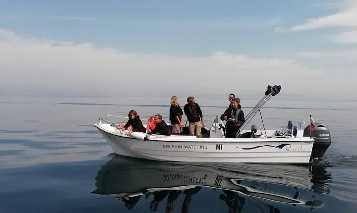 Small Group Dolphin and Wildlife Watching Tour in Faro