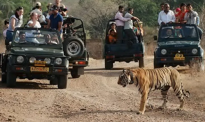 Golden Triangle Tour with Ranthambore National Park