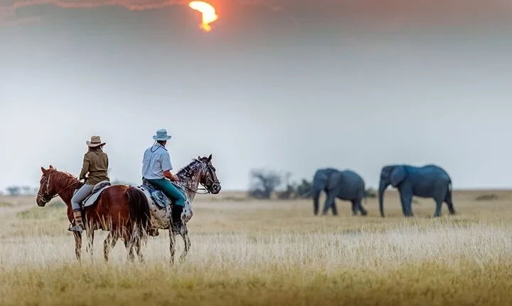 5 Days Tanzania Exclusive Luxury Lodge Safari