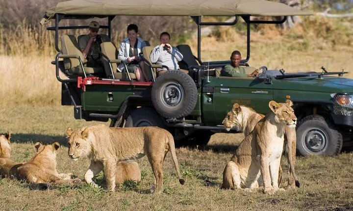3 Day Kruger National Park Private Safari from Johannesburg
