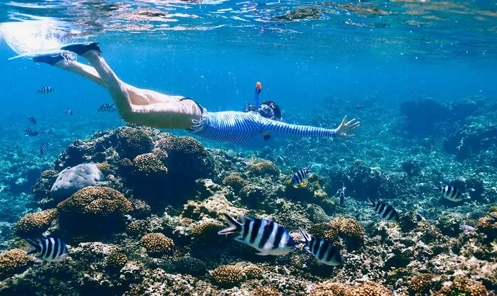 Reef Snorkeling with ATV, Zipline, Cenote that includes lunch and transportation