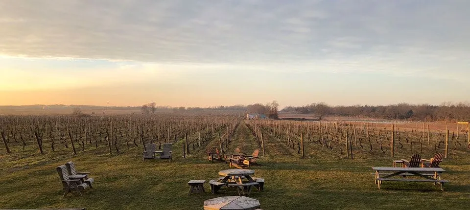 Wine tasting day trip from NYC