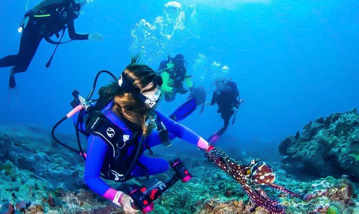Snorkeling in Talawila St. Anne's Reef