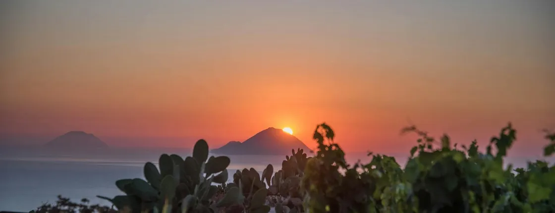 Sunset Experience on Lipari Island with Vineyard Picnic