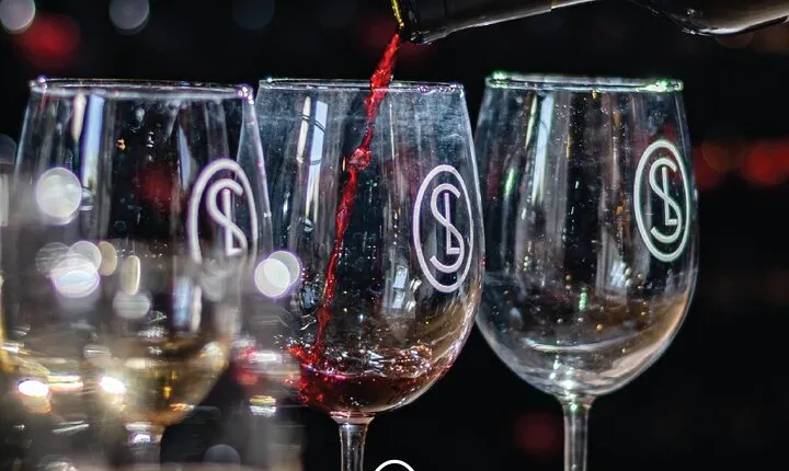 Sensory Wine Tasting Experience at Viñedos San Lucas