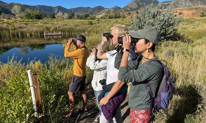 2 Hours of Mindful Bird Watching near Denver