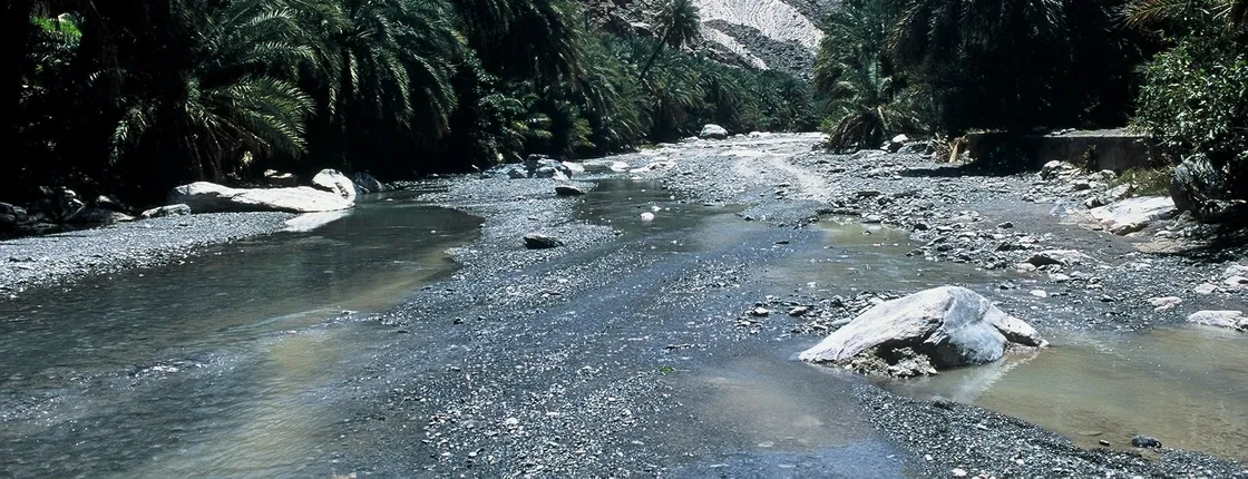 4WD private tour to the White Wadi and Nakhl