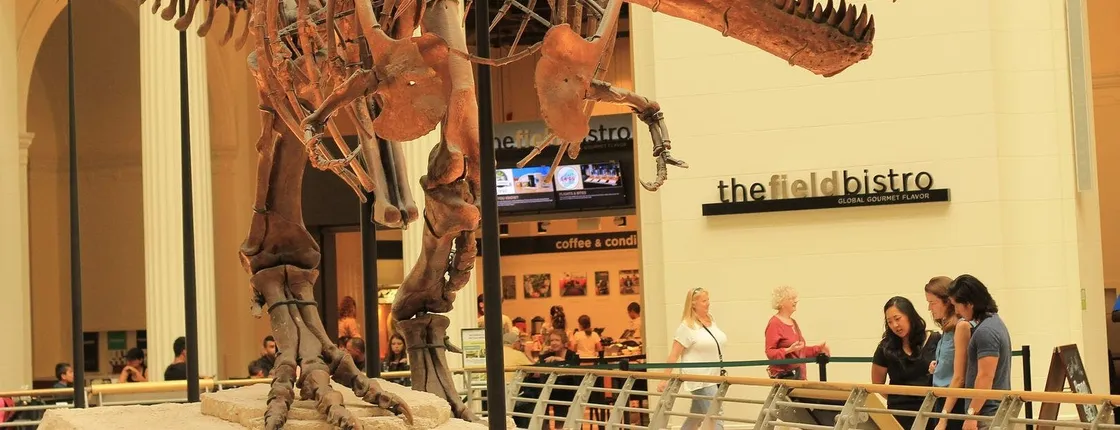 Field Museum of Natural History tickets and audio tour