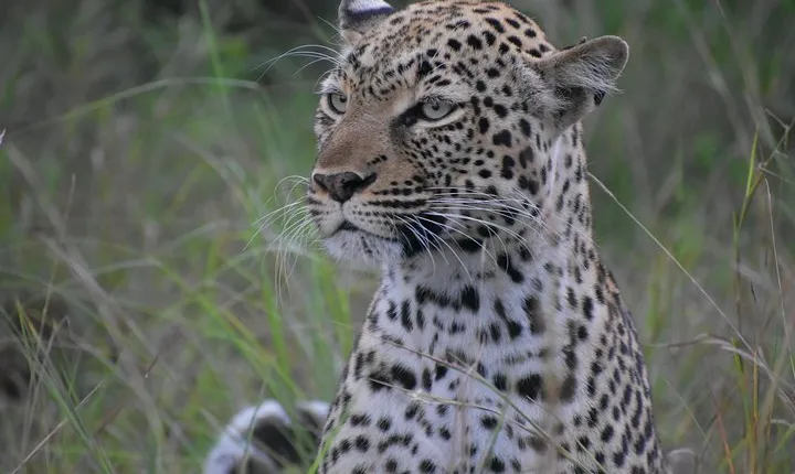 Uganda Wildlife & Activity Holiday - 15 Days