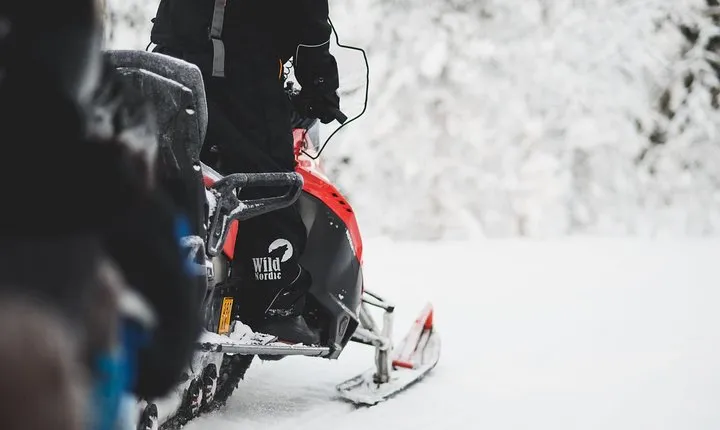 Snowmobile Safari to the Wilderness with Lunch