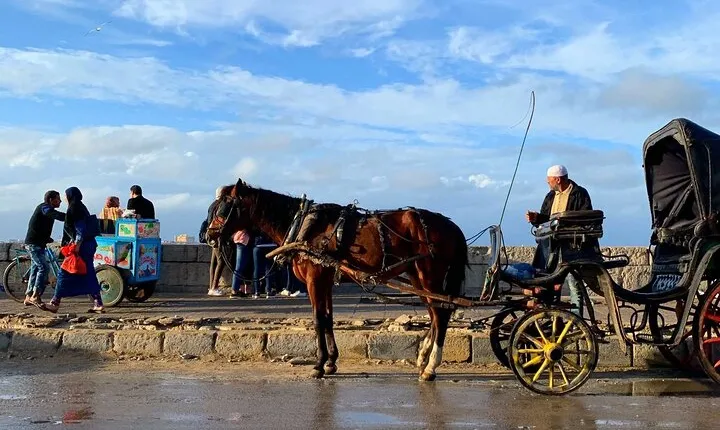 Alexandria By Night Private Free Walking Tours & Horse Carriage Ride