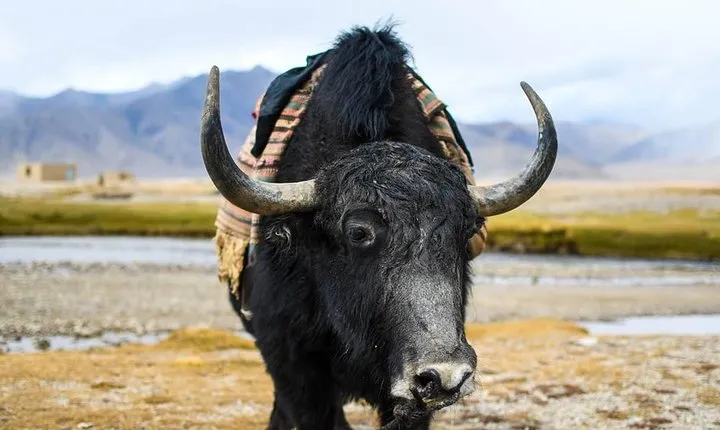 Highlights of Tajikistan