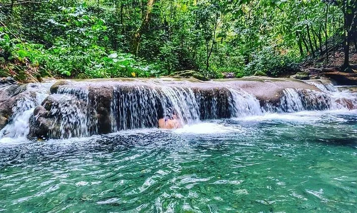 Dunn's River Falls & Luminous Lagoon Guided Tour with Admission from Falmouth