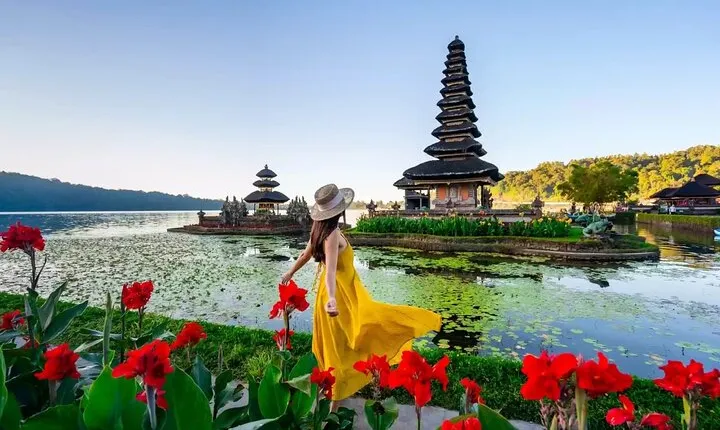 Northern Side of Bali Private Day Tour
