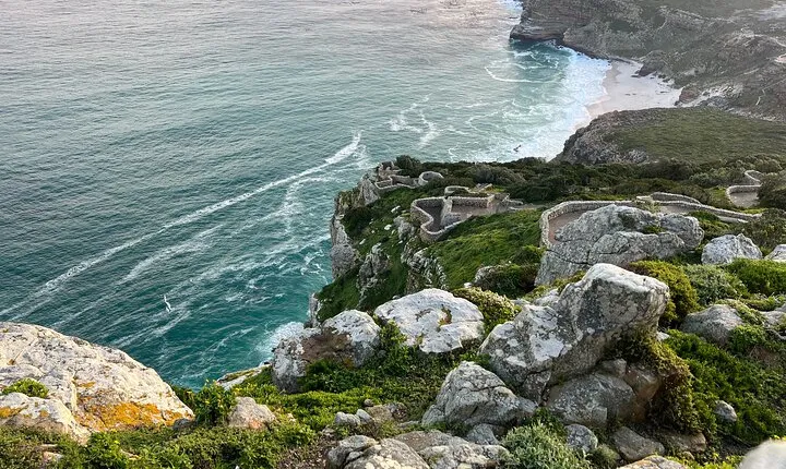 Cape Peninsula Full Day Private Experience