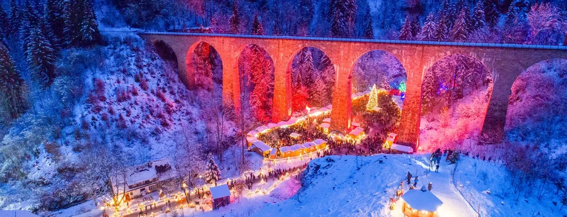 Black Forest fairytale private tour from Zurich
