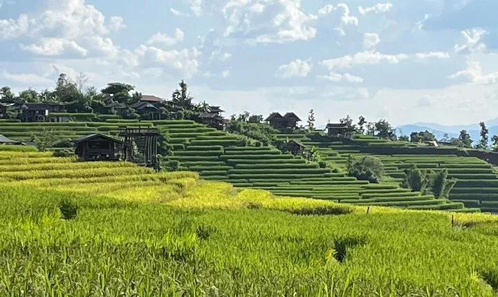 Private Tour to Chiang Mai Rice Terraces and National Park