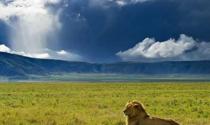 Ngorongoro Crater Day Trip