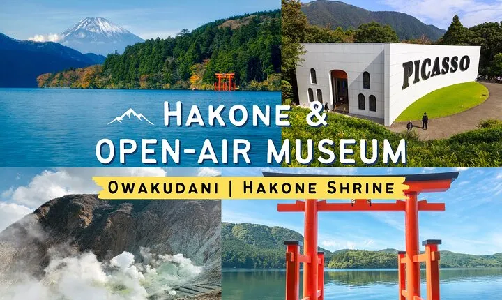 Tokyo Hakone : Mt.Fuji, Owakudani, Open Air Museum, Hakone Shrine