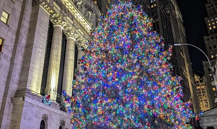 NYC Holiday Lights Tour