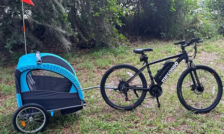 2 hours E-Bike with 2-Child Trailer Kissimmee Lakefront Tour