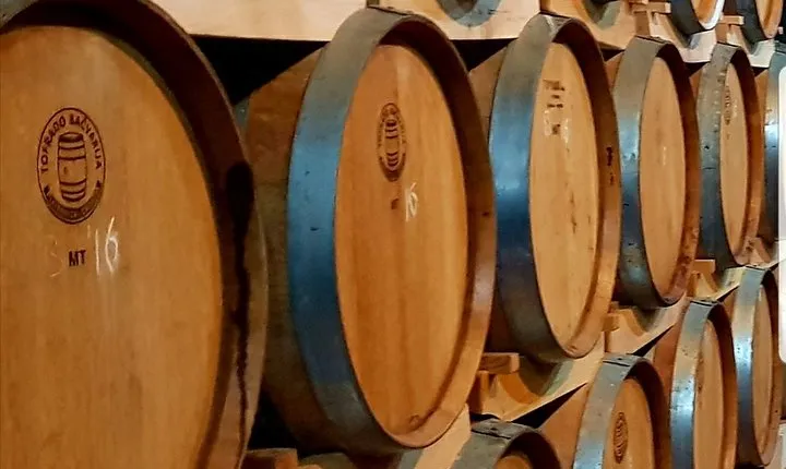 1-Hour Wine Tasting Tour in Medjugorje
