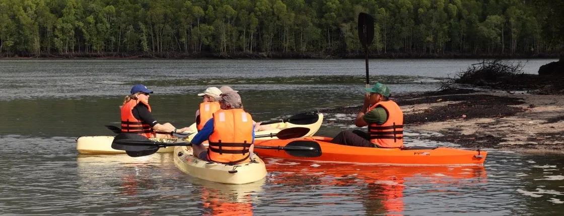 Langkawi mangrove river kayaking tour