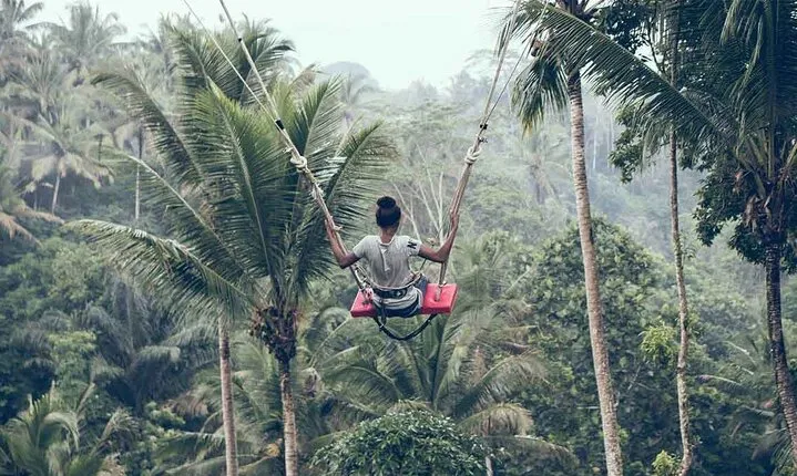 Ubud Swing and Ubud Village Tour