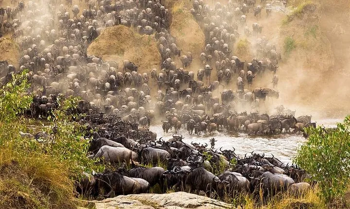 3-Days Masai Mara Guided Safari