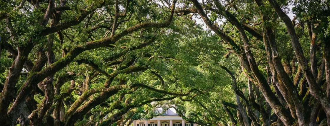 Oak Alley Plantation Tour