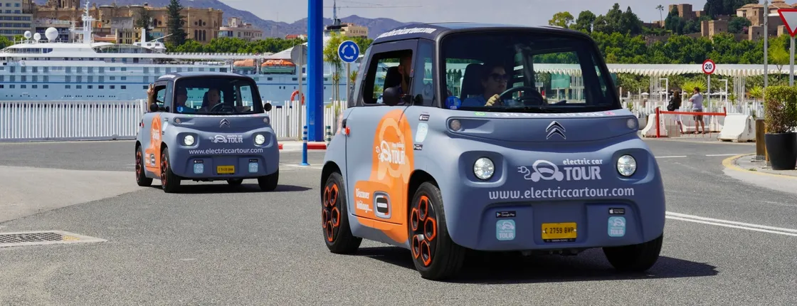 Private tour of Málaga with an electric car