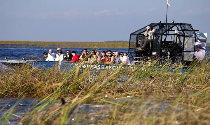 Everglades Small Group Express from Fort Lauderdale +Airboat Ride