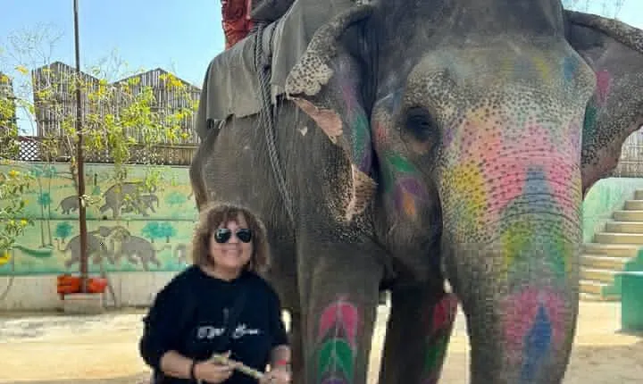 Private Jaipur Day Tour from Delhi- All Inclusive