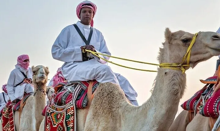 Camel Ride in Riyadh City 