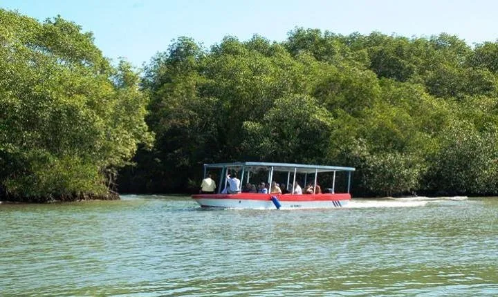 Damas Island by Boat Tour From Manuel Antonio