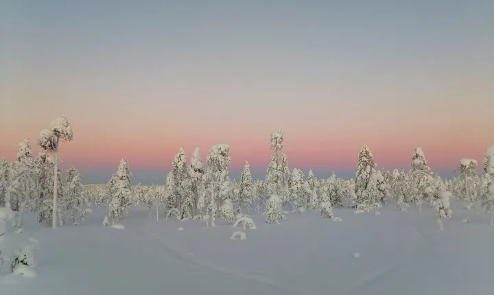 Full-Day Snowmobile Adventure in Finnish Lapland