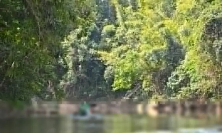 Full Day The Lost Zone Amazon and Old Town including Lunch from Khao Lak
