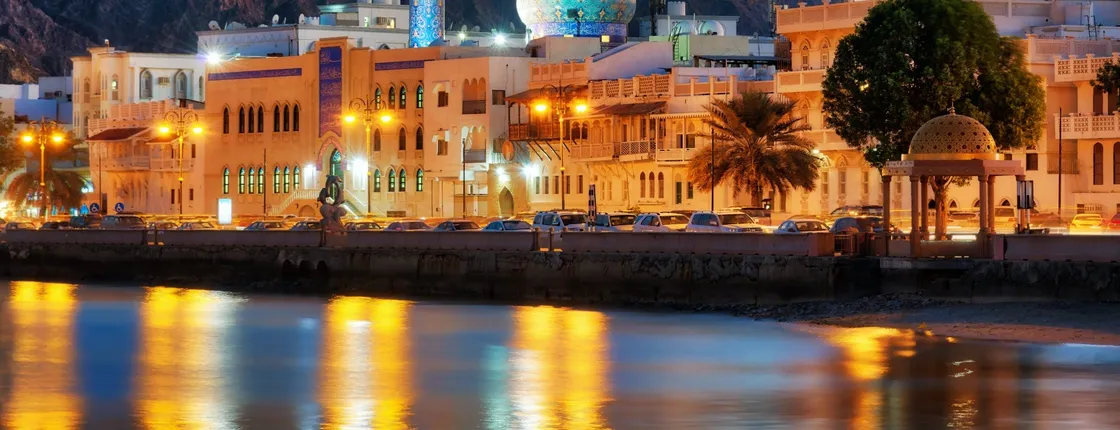 Muscat by night tour with local dinner