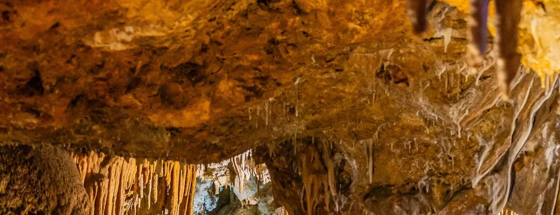 Majorca photographic sightseeing tour