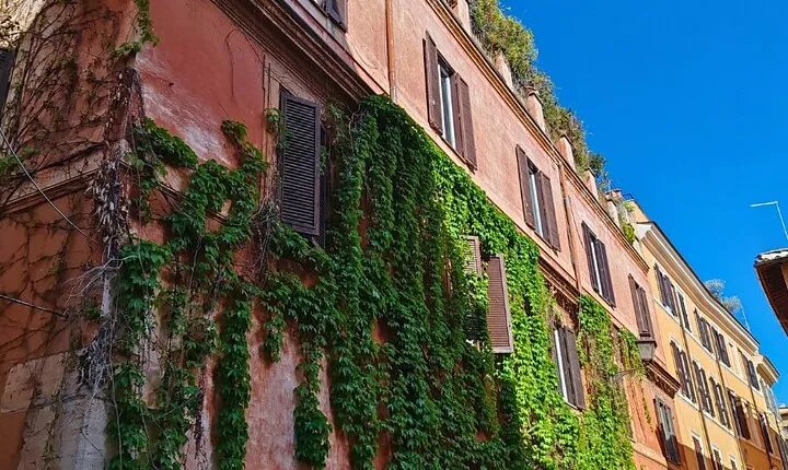 Trastevere Food Tour with Pizza Making Class