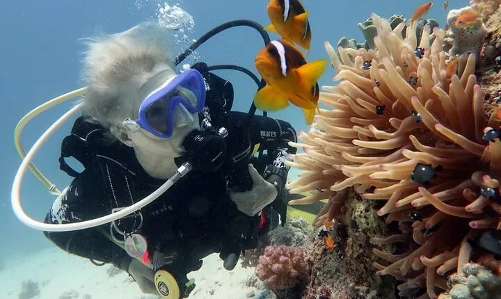 Hurghada Snorkeling Trip to Orange Bay Island