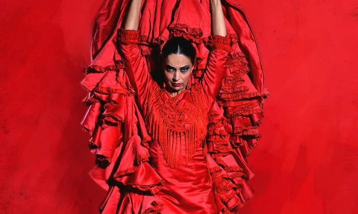 Authentic Flamenco Show at the Teatro Flamenco Sevilla