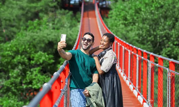 Best DMZ Tour Korea from Seoul (Red Suspension Bridge Optional)