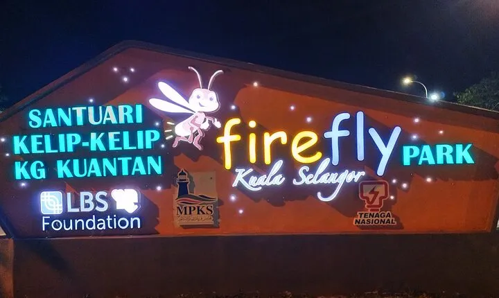 Fireflies Kuala Selangor & Batu Caves (With Fireflies Tickets) 