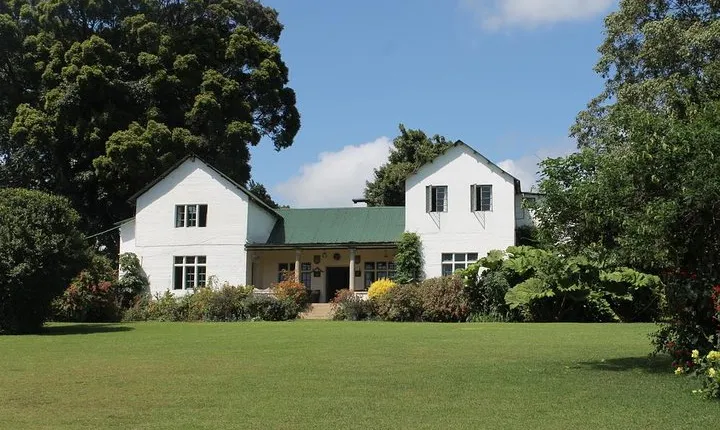 Day Tour To Kiambethu Tea Farm in Limuru
