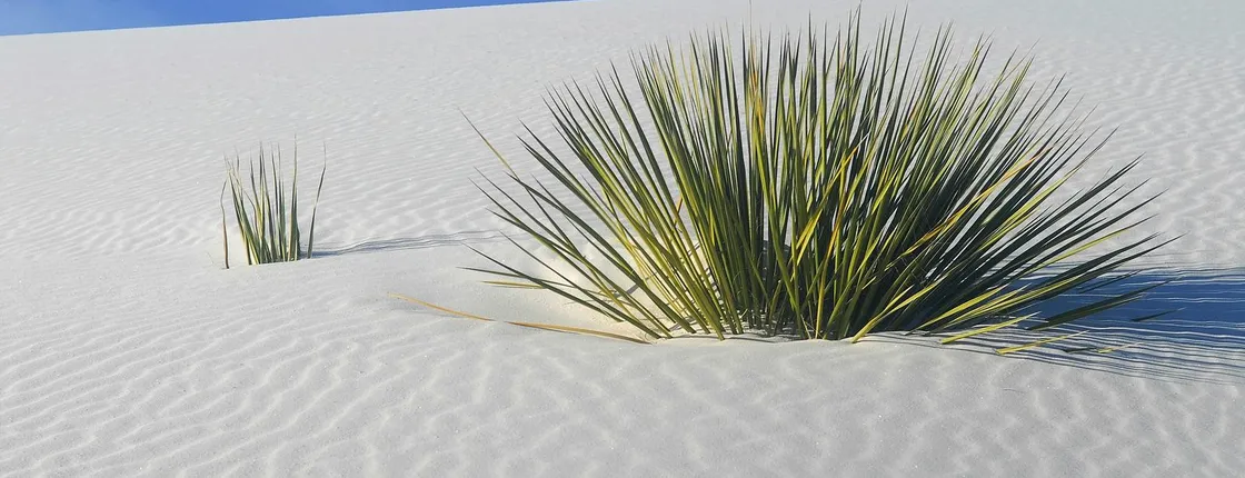 Self-Guided Audio Driving Tour of White Sand National Park