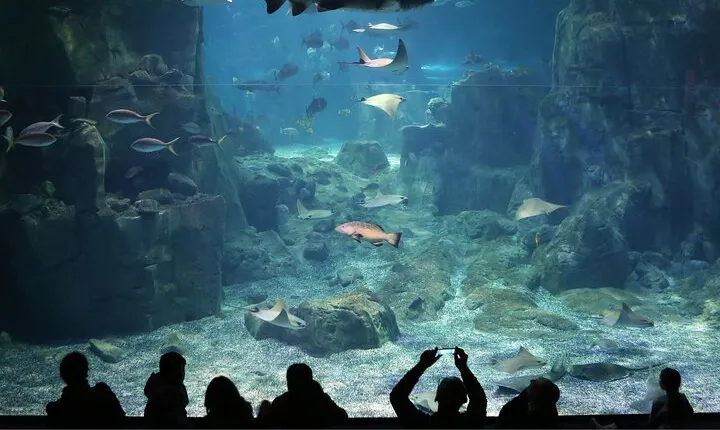 Istanbul Aquarium and Shopping Tour with Hotel Transfers